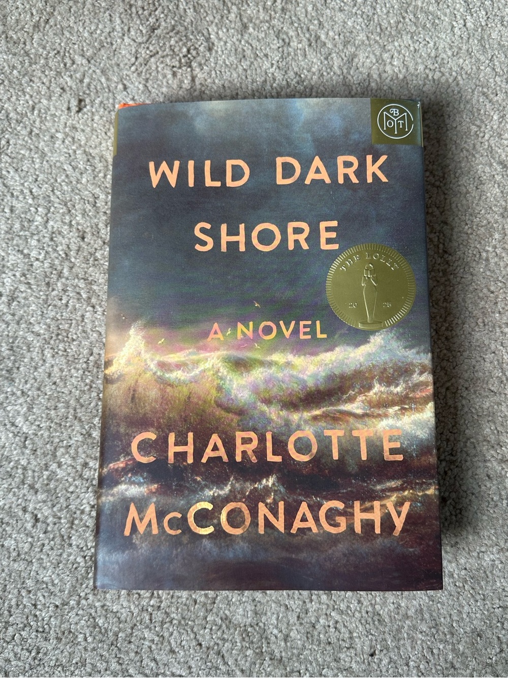 Wild Dark Shore by Charlotte McConaghy